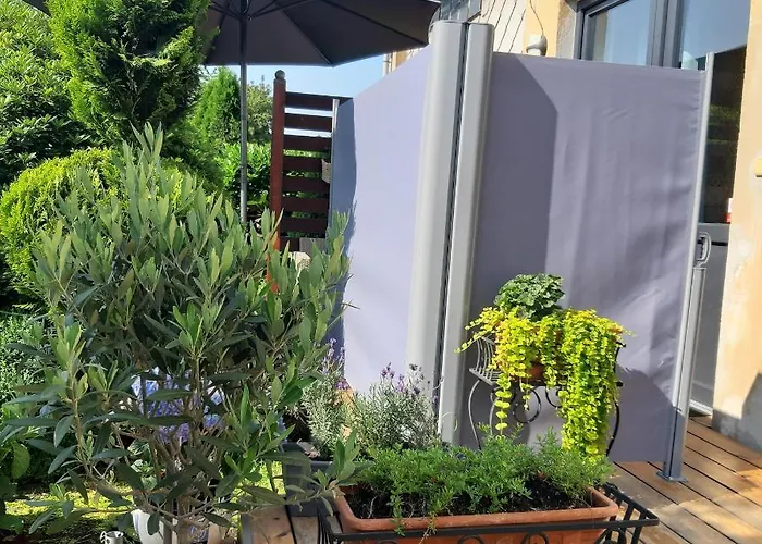 U Javoru Appartement